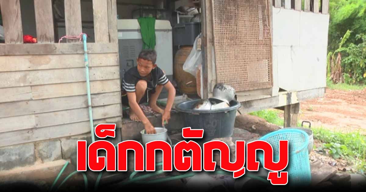 การ ดูแล สุนัข พิการ ขา หลัง ฟรี